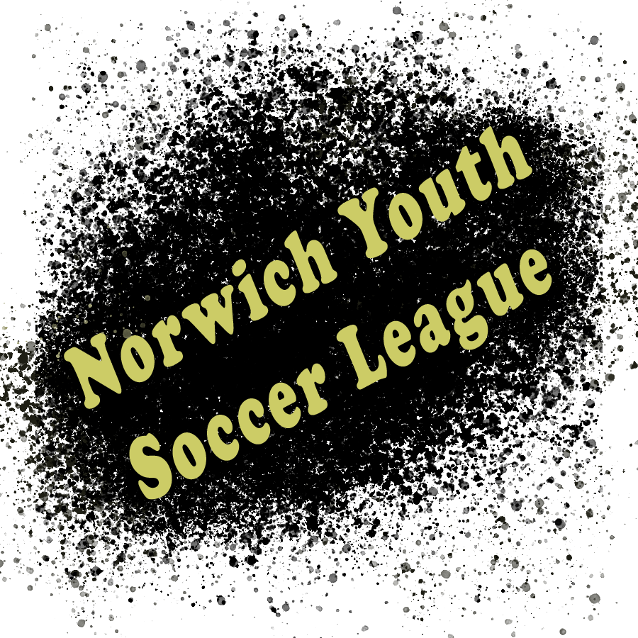 NYSL Logo image